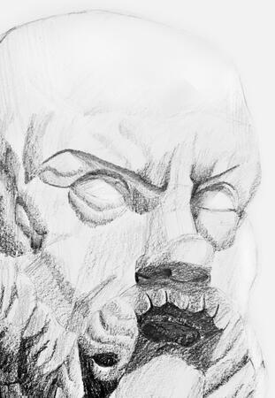 Traditional Studies